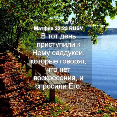 Picture 04 - Матфея 22:23 RUSV - В тот день приступили к - Bible Verse Picture
