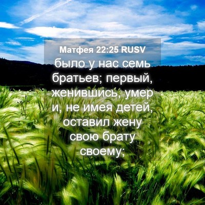 Picture 04 - Матфея 22:25 RUSV - было у нас семь братьев; - Bible Verse Picture
