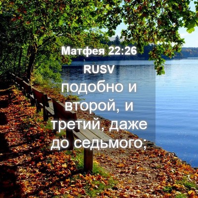 Picture 04 - Матфея 22:26 RUSV - подобно и второй, и третий, - Bible Verse Picture