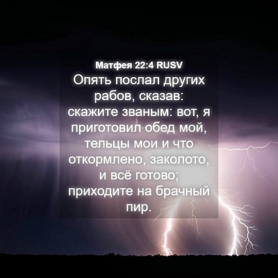 Picture 04 - Матфея 22:4 RUSV - Опять послал других рабов, - Bible Verse Picture