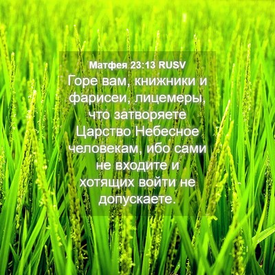 Picture 04 - Матфея 23:13 RUSV - Горе вам, книжники и - Bible Verse Picture