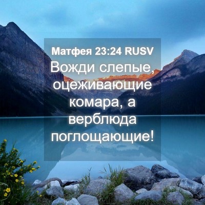 Picture 04 - Матфея 23:24 RUSV - Вожди слепые, оцеживающие - Bible Verse Picture