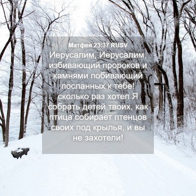 Picture 04 - Матфея 23:37 RUSV - Иерусалим, Иерусалим, - Bible Verse Picture