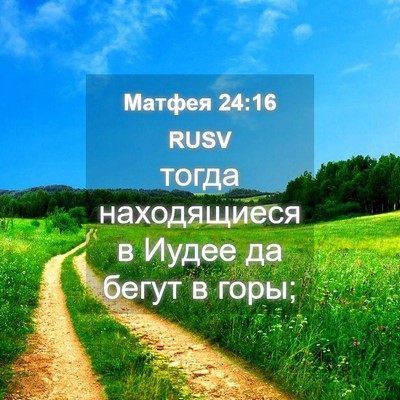 Picture 04 - Матфея 24:16 RUSV - тогда находящиеся в Иудее - Bible Verse Picture