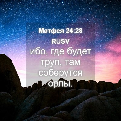 Picture 04 - Матфея 24:28 RUSV - ибо, где будет труп, там - Bible Verse Picture
