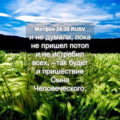 Picture 04 - Матфея 24:39 RUSV - и не думали, пока не пришел - Bible Verse Picture