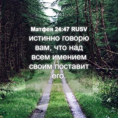 Picture 04 - Матфея 24:47 RUSV - истинно говорю вам, что над - Bible Verse Picture