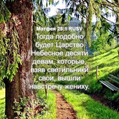 Picture 04 - Матфея 25:1 RUSV - Тогда подобно будет - Bible Verse Picture