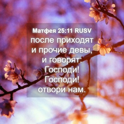 Picture 04 - Матфея 25:11 RUSV - после приходят и прочие - Bible Verse Picture
