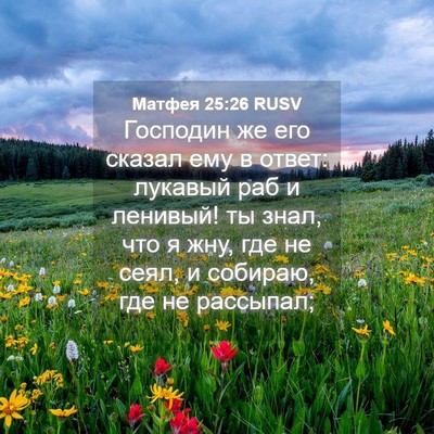 Picture 04 - Матфея 25:26 RUSV - Господин же его сказал ему - Bible Verse Picture