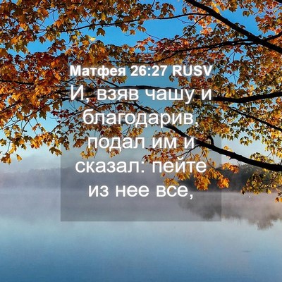 Picture 04 - Матфея 26:27 RUSV - И, взяв чашу и благодарив, - Bible Verse Picture