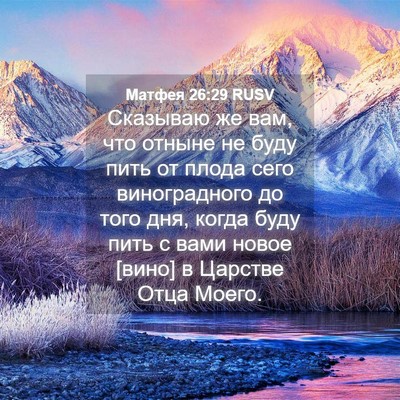 Picture 04 - Матфея 26:29 RUSV - Сказываю же вам, что отныне - Bible Verse Picture