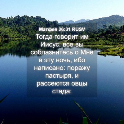 Picture 04 - Матфея 26:31 RUSV - Тогда говорит им Иисус: все - Bible Verse Picture