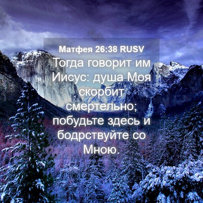 Picture 04 - Матфея 26:38 RUSV - Тогда говорит им Иисус: - Bible Verse Picture