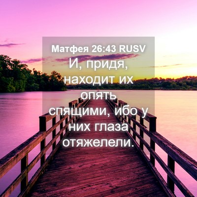 Picture 04 - Матфея 26:43 RUSV - И, придя, находит их опять - Bible Verse Picture