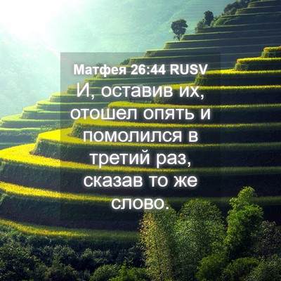 Picture 04 - Матфея 26:44 RUSV - И, оставив их, отошел опять - Bible Verse Picture
