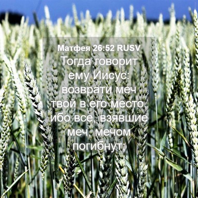 Picture 04 - Матфея 26:52 RUSV - Тогда говорит ему Иисус: - Bible Verse Picture