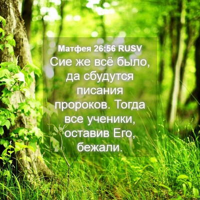 Picture 04 - Матфея 26:56 RUSV - Сие же всё было, да - Bible Verse Picture