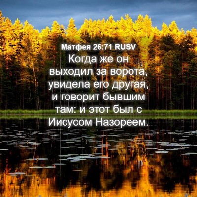 Picture 04 - Матфея 26:71 RUSV - Когда же он выходил за - Bible Verse Picture