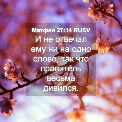 Picture 04 - Матфея 27:14 RUSV - И не отвечал ему ни на одно - Bible Verse Picture