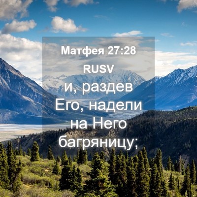 Picture 04 - Матфея 27:28 RUSV - и, раздев Его, надели на - Bible Verse Picture