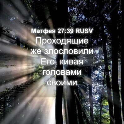 Picture 04 - Матфея 27:39 RUSV - Проходящие же злословили - Bible Verse Picture