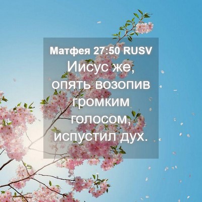 Picture 04 - Матфея 27:50 RUSV - Иисус же, опять возопив - Bible Verse Picture