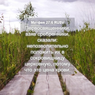 Picture 04 - Матфея 27:6 RUSV - Первосвященники, взяв - Bible Verse Picture