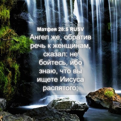 Picture 04 - Матфея 28:5 RUSV - Ангел же, обратив речь к - Bible Verse Picture