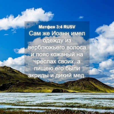 Picture 04 - Матфея 3:4 RUSV - Сам же Иоанн имел одежду из - Bible Verse Picture