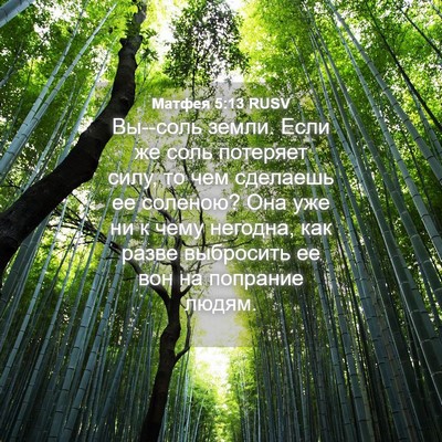 Picture 04 - Матфея 5:13 RUSV - Вы--соль земли. Если же соль - Bible Verse Picture