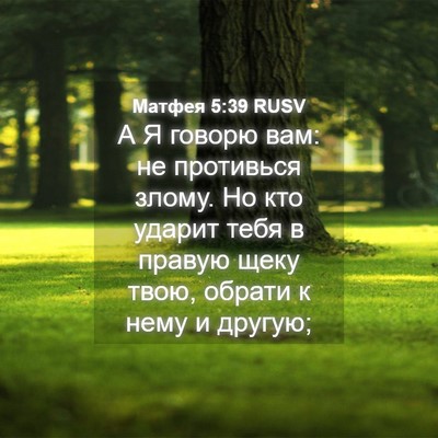 Picture 04 - Матфея 5:39 RUSV - А Я говорю вам: не - Bible Verse Picture