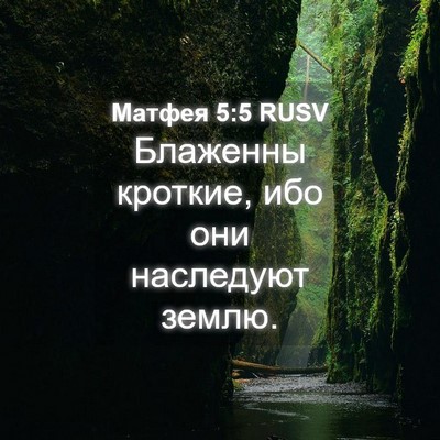 Picture 04 - Матфея 5:5 RUSV - Блаженны кроткие, ибо они - Bible Verse Picture