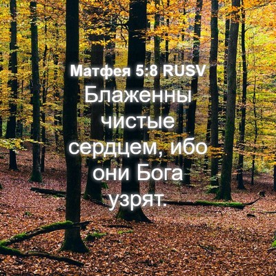 Picture 04 - Матфея 5:8 RUSV - Блаженны чистые сердцем, - Bible Verse Picture