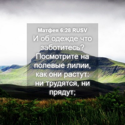 Picture 04 - Матфея 6:28 RUSV - И об одежде что заботитесь? - Bible Verse Picture
