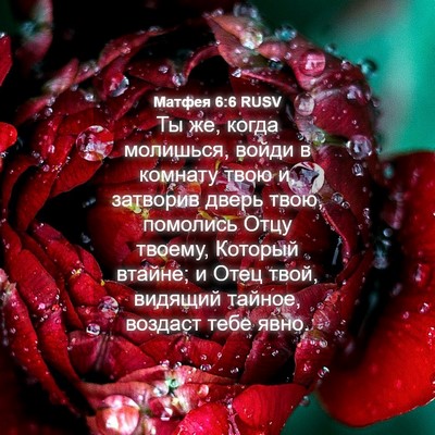 Picture 04 - Матфея 6:6 RUSV - Ты же, когда молишься, - Bible Verse Picture