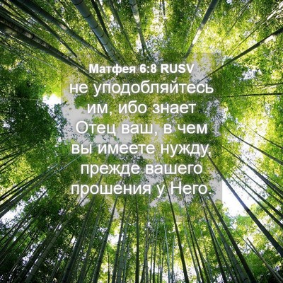Picture 04 - Матфея 6:8 RUSV - не уподобляйтесь им, ибо - Bible Verse Picture