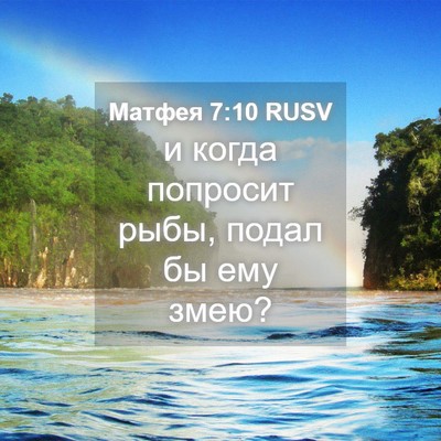 Picture 04 - Матфея 7:10 RUSV - и когда попросит рыбы, - Bible Verse Picture