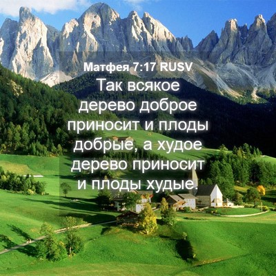 Picture 04 - Матфея 7:17 RUSV - Так всякое дерево доброе - Bible Verse Picture