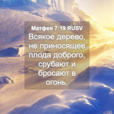 Picture 04 - Матфея 7:19 RUSV - Всякое дерево, не - Bible Verse Picture