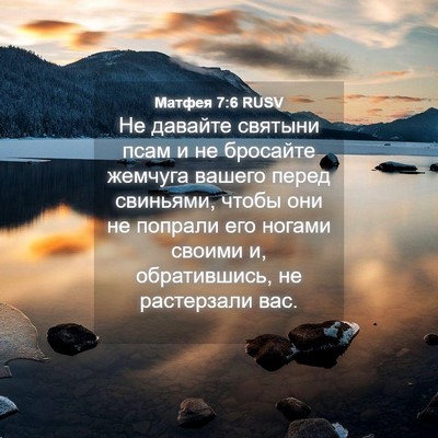 Picture 04 - Матфея 7:6 RUSV - Не давайте святыни псам и - Bible Verse Picture