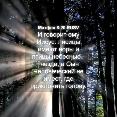 Picture 04 - Матфея 8:20 RUSV - И говорит ему Иисус: лисицы - Bible Verse Picture