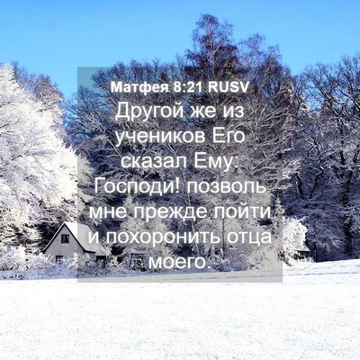Picture 04 - Матфея 8:21 RUSV - Другой же из учеников Его - Bible Verse Picture