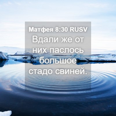 Picture 04 - Матфея 8:30 RUSV - Вдали же от них паслось - Bible Verse Picture