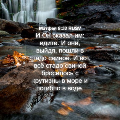 Picture 04 - Матфея 8:32 RUSV - И Он сказал им: идите. И они, - Bible Verse Picture