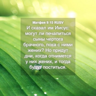 Picture 04 - Матфея 9:15 RUSV - И сказал им Иисус: могут ли - Bible Verse Picture