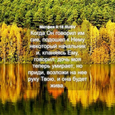 Picture 04 - Матфея 9:18 RUSV - Когда Он говорил им сие, - Bible Verse Picture