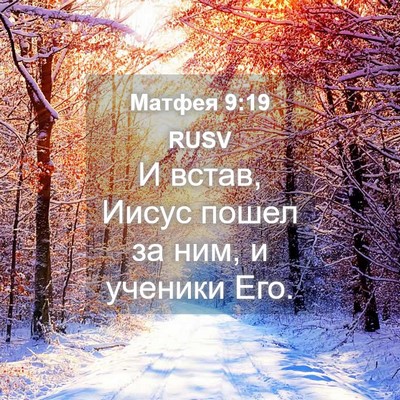 Picture 04 - Матфея 9:19 RUSV - И встав, Иисус пошел за ним, - Bible Verse Picture