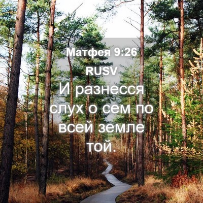 Picture 04 - Матфея 9:26 RUSV - И разнесся слух о сем по - Bible Verse Picture