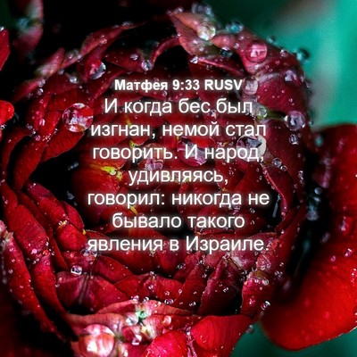 Picture 04 - Матфея 9:33 RUSV - И когда бес был изгнан, - Bible Verse Picture